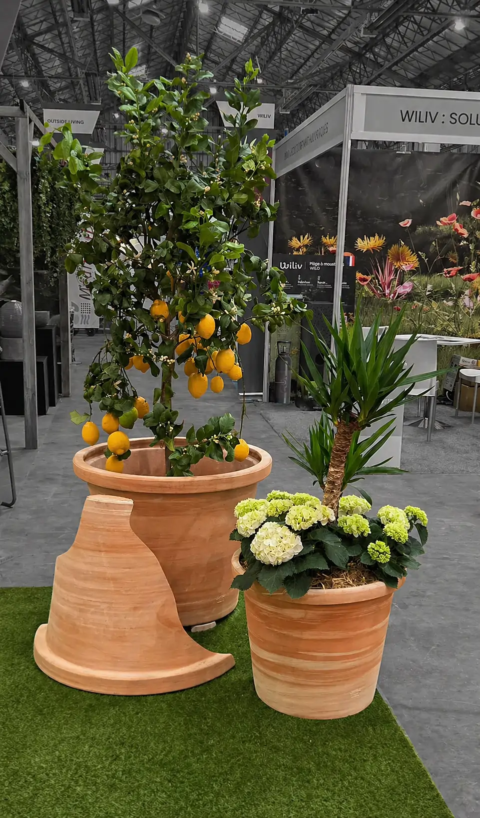 Pots en terre cuite avec composition florale pour gamme Terra