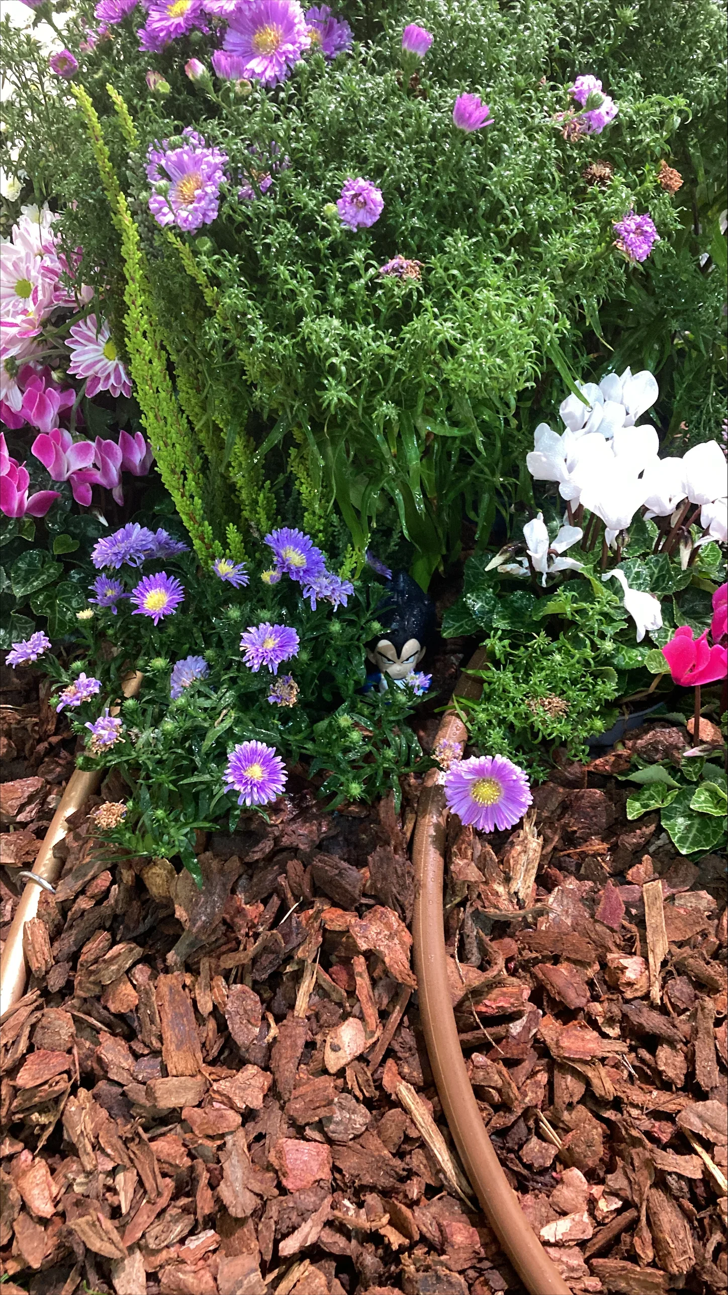 Comme dans votre jardin !